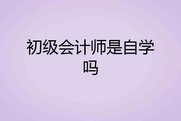 初级会计师是自学吗