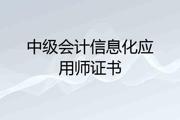 中级会计信息化应用师证书