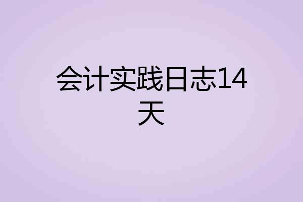 会计实践日志14天