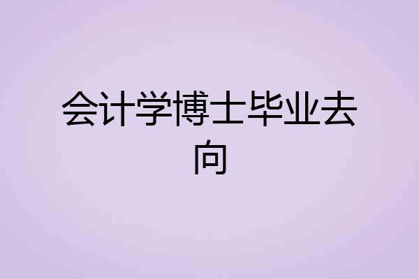 会计学博士毕业去向