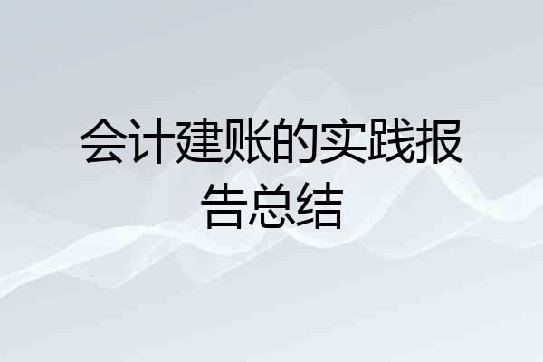 会计建账的实践报告总结