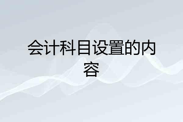 会计科目设置的内容