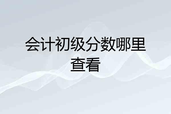 会计初级分数哪里查看