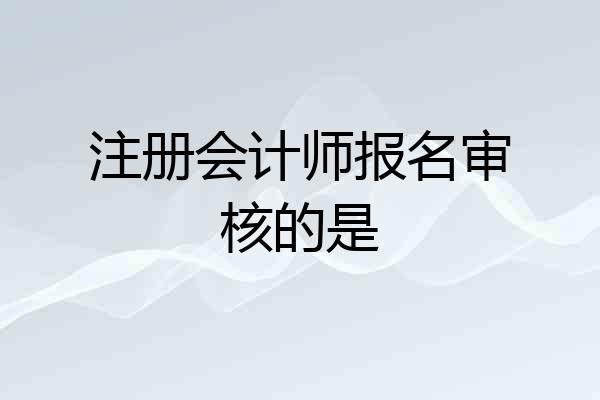 注册会计师报名审核的是
