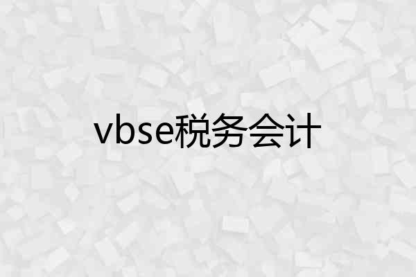 vbse税务会计