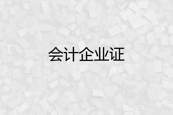 会计企业证