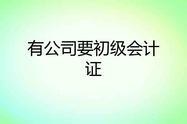 有公司要初级会计证