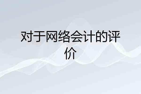 对于网络会计的评价