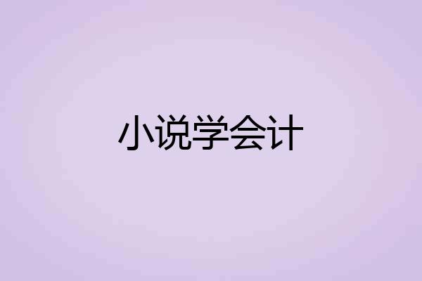 小说学会计