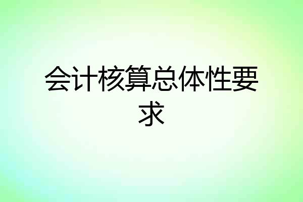 会计核算总体性要求