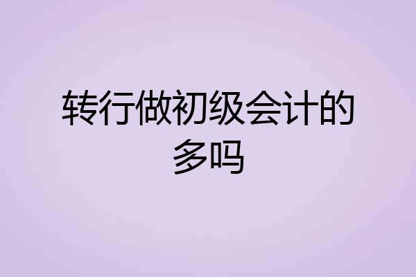 转行做初级会计的多吗