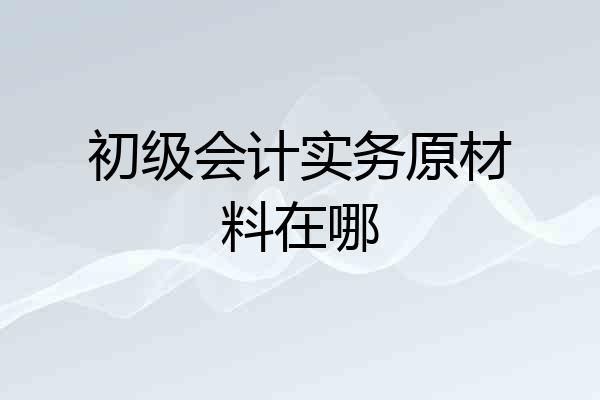 初级会计实务原材料在哪