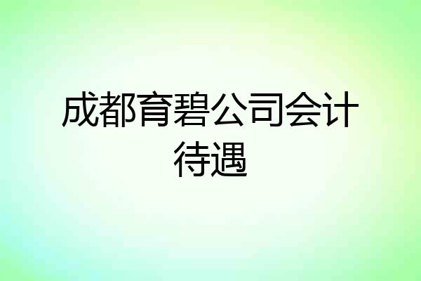 成都育碧公司会计待遇