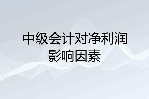 中级会计对净利润影响因素