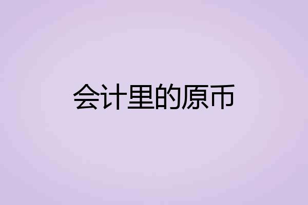 会计里的原币