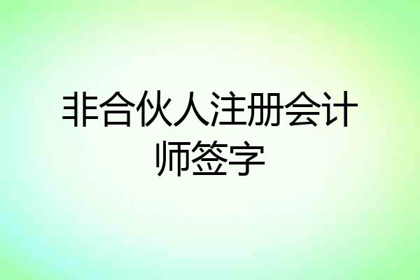 非合伙人注册会计师签字
