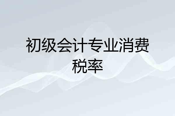 初级会计专业消费税率