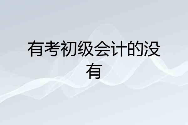 有考初级会计的没有