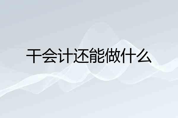 干会计还能做什么