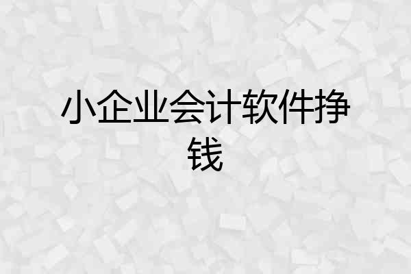 小企业会计软件挣钱