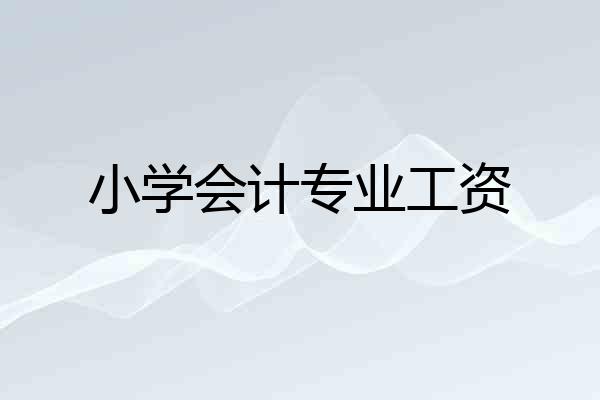 小学会计专业工资