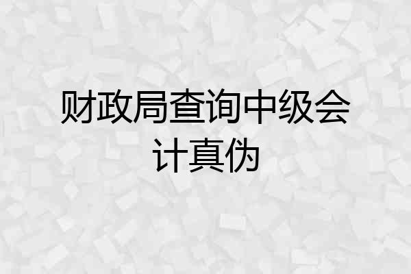 财政局查询中级会计真伪