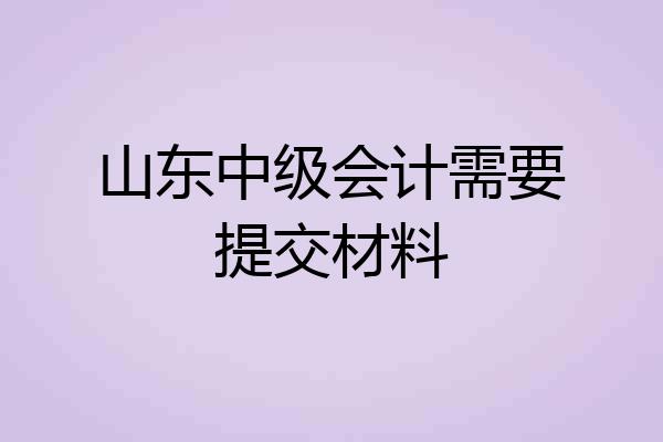 山东中级会计需要提交材料