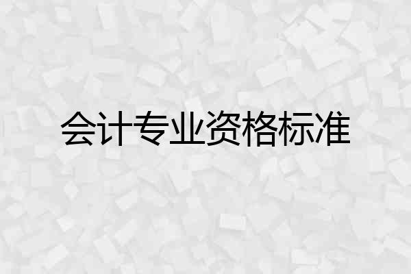 会计专业资格标准
