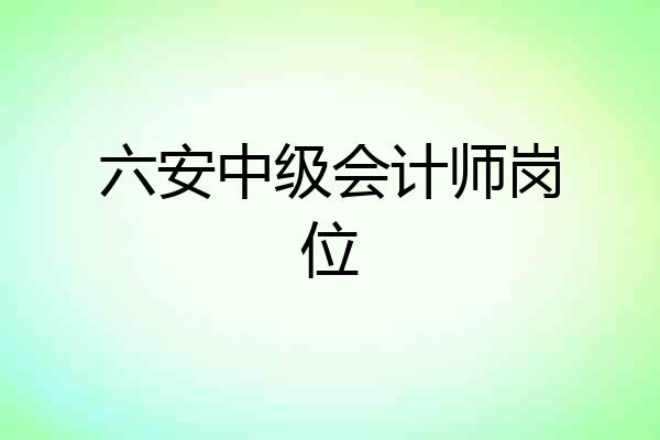 六安中级会计师岗位