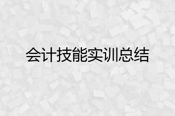 会计技能实训总结