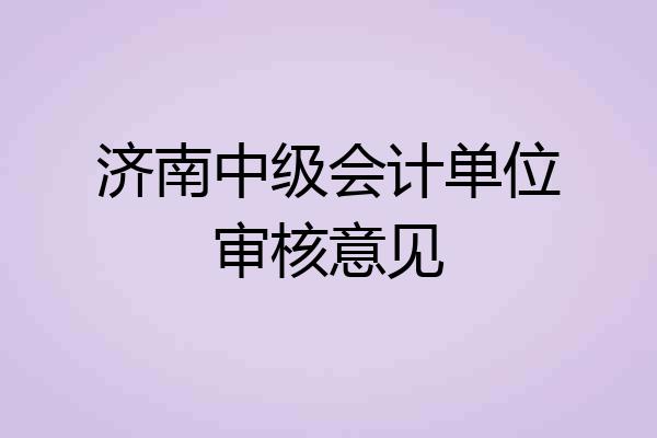 济南中级会计单位审核意见