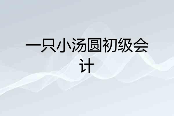 一只小汤圆初级会计