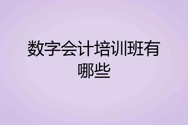 数字会计培训班有哪些