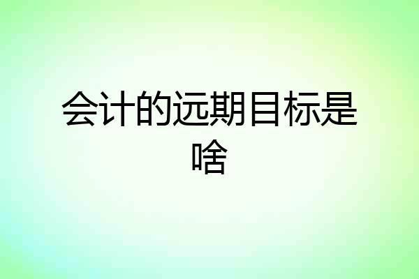 会计的远期目标是啥