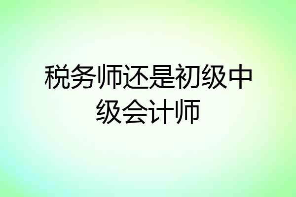 税务师还是初级中级会计师