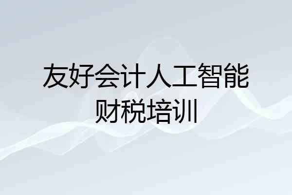 友好会计人工智能财税培训