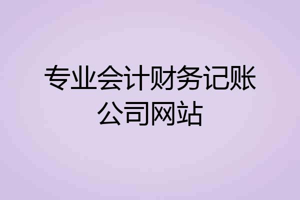 专业会计财务记账公司网站