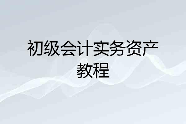 初级会计实务资产教程