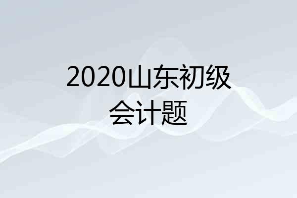 2020山东初级会计题