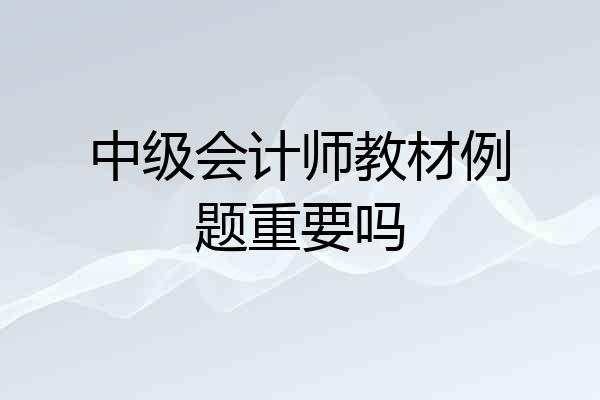 中级会计师教材例题重要吗