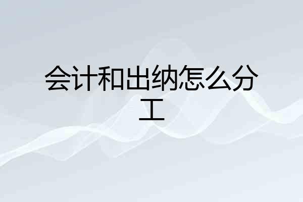 会计和出纳怎么分工