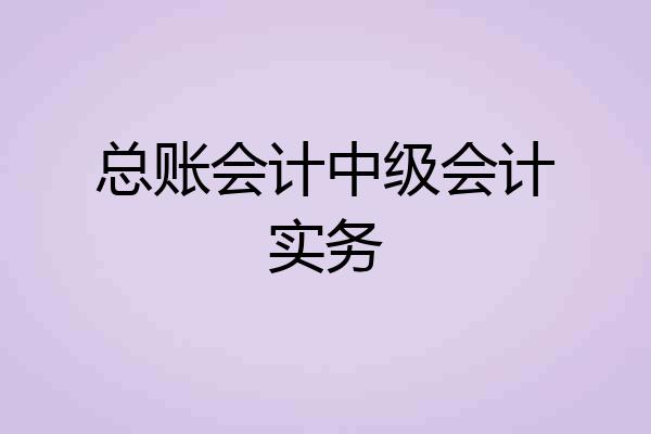总账会计中级会计实务