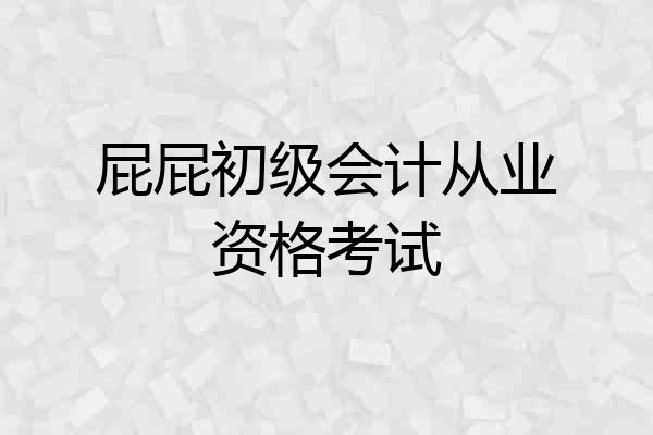 屁屁初级会计从业资格考试