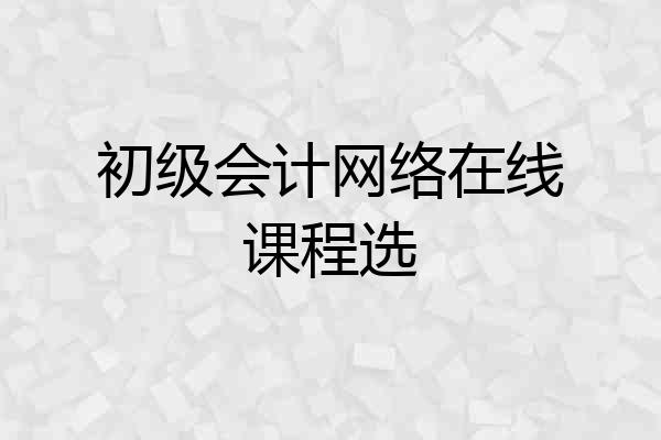 初级会计网络在线课程选