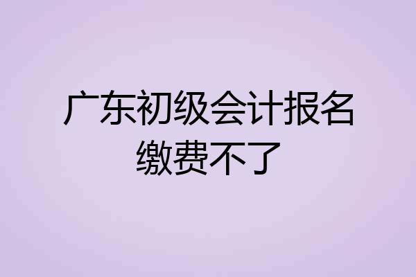 广东初级会计报名缴费不了