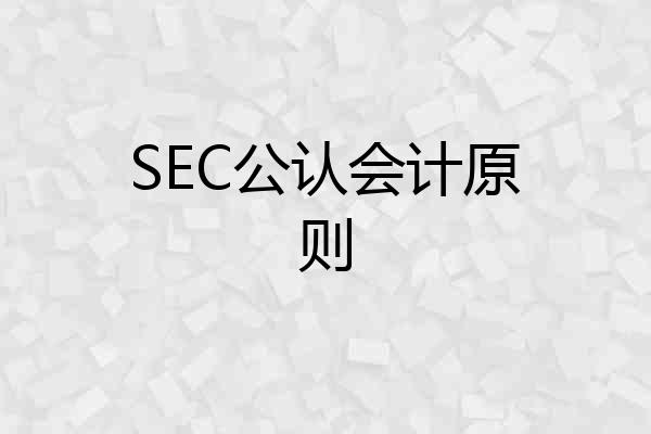 SEC公认会计原则