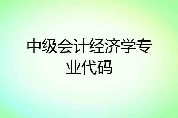 中级会计经济学专业代码