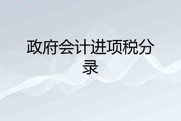 政府会计进项税分录