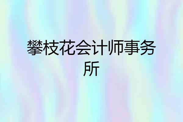 攀枝花会计师事务所