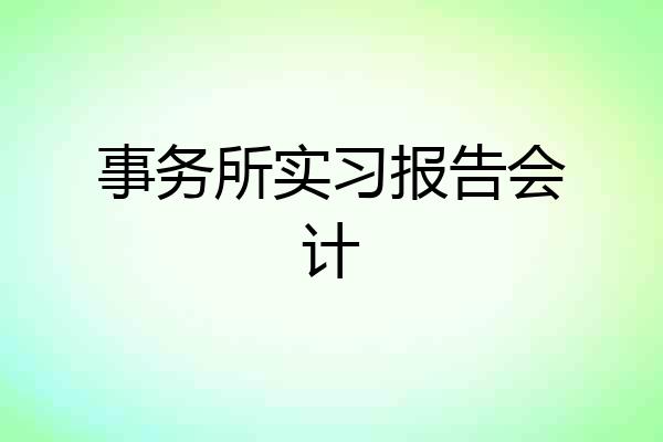 事务所实习报告会计